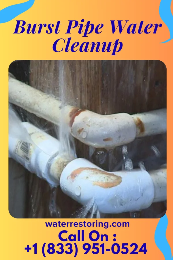 Burst Pipe Water Cleanup in Hermosa, SD